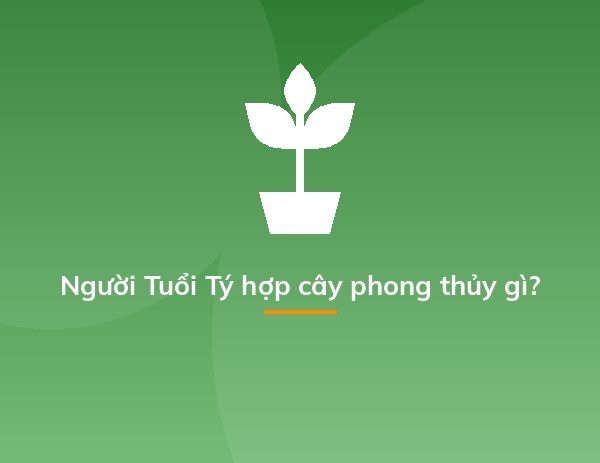 Người Tuổi Tý hợp cây phong thủy gì?