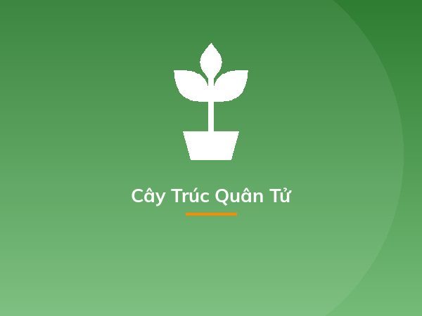 Cách trồng dạ yến thảo từ 1 nắm hạt cây, dễ ợt mà kết quả "hú hồn