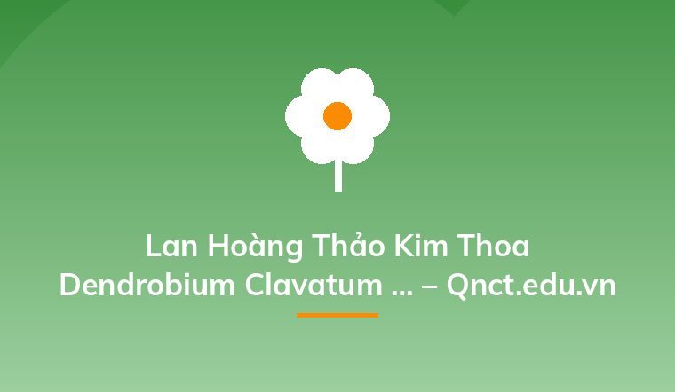 Lan Hoàng Thảo Kim Thoa Dendrobium Clavatum … – Qnct.edu.vn