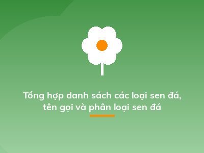 Tổng hợp danh sách các loại sen đá, tên gọi và phân loại sen đá