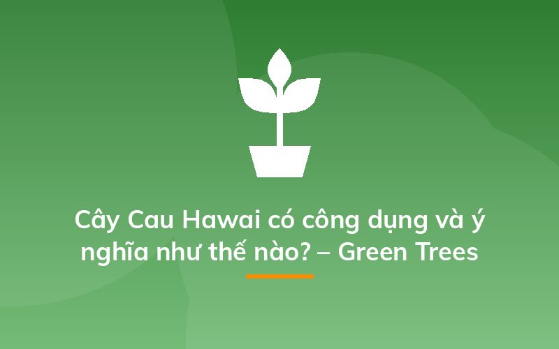 Cây Cau Hawai có công dụng và ý nghĩa như thế nào? – Green Trees
