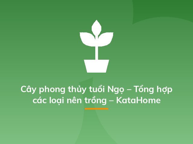 Cây phong thủy tuổi Ngọ – Tổng hợp các loại nên trồng – KataHome