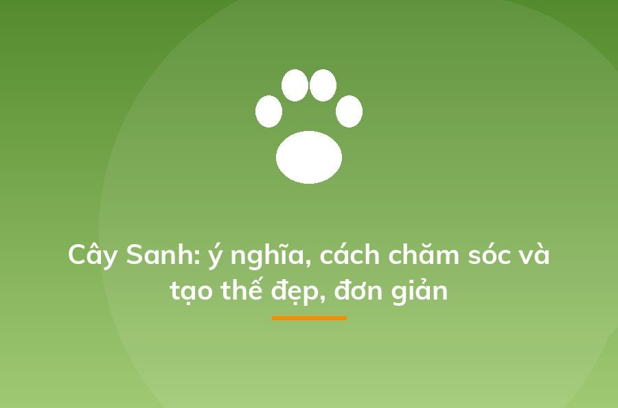Kinh doanh cây cảnh - cách kiếm "một vốn bốn lời" nhanh nhất - Sapo