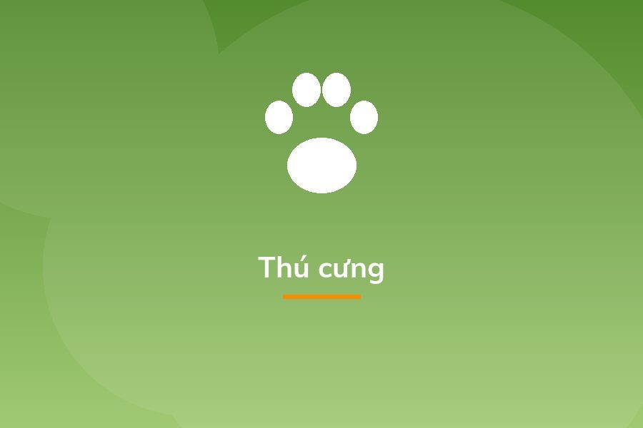 Thú cưng