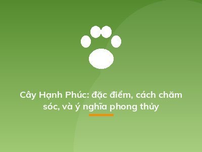 Cây Hạnh Phúc: đặc điểm, cách chăm sóc, và ý nghĩa phong thủy